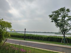 -国寿嘉园·苏州雅境