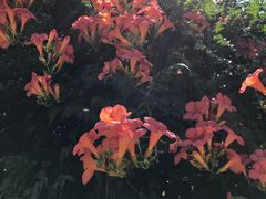 -桂林公园(地铁站)
