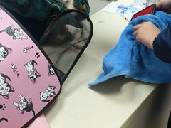 -奈斯宠物医院·核磁CT·异宠专科·内镜(中南店)