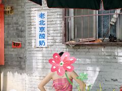 -北京国子监胡同