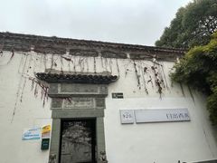 -日出青木