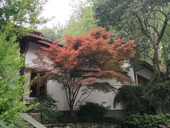 -吴山景区