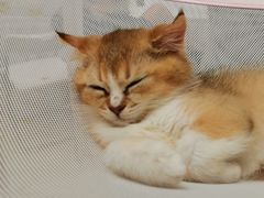 -仲盛世界商城