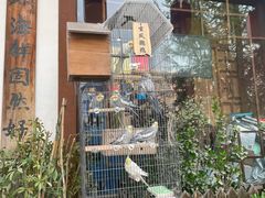 -玉桥餐厅(天坛店)