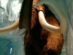 -曼谷杜莎夫人蜡像馆