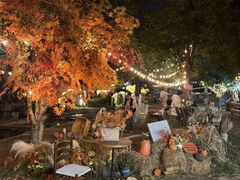 -HERRE·FARM 赫尔露营农场·团建聚会包场