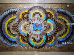 -上海昆虫博物馆