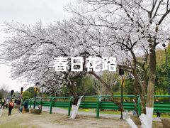 -南北湖风景区