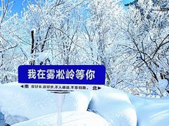 -雪谷