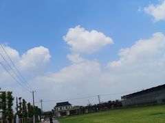 -菊园百果园
