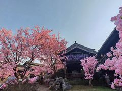 -茅山东方盐湖城景区
