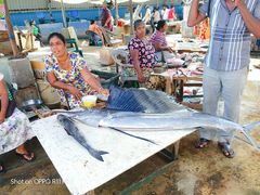 -尼甘布海鲜市场