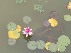 -呼吸森林·生态农庄农家乐私房菜