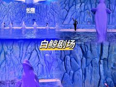 -珠海长隆海洋王国