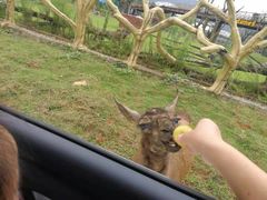 -宾湖农庄·农场特色(太湖龙之梦店)