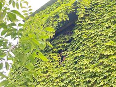 -廣順興(天明路店)