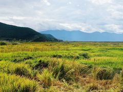 -泸沽湖国家级风景名胜区走婚桥