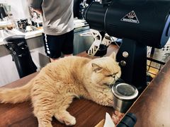 -Double cafe