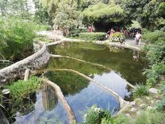 -成都市活水公园