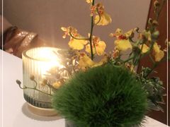 -蝶舍·MAISON PAPILLON