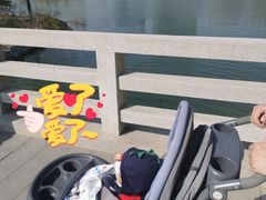 -大兴滨河森林公园