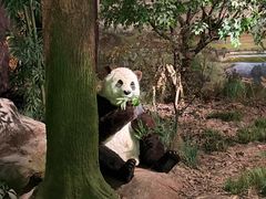 -湖南省地质博物馆