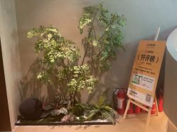 点击看大图 -Dr.林醫生产后修复·配方产康店(南京大厂店)