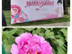 -太阳宫公园