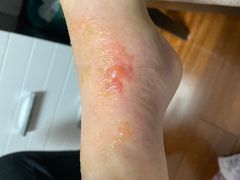 -同庆楼(滨湖万达广场店)