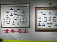 -上海昆虫博物馆