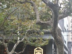 -Moka Bros 摩卡站(嘉华店)