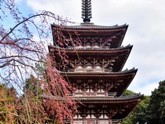 -醍醐寺
