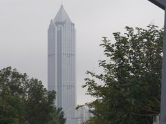 -万绿园