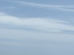 -日照海滨国家森林公园