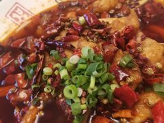 -豆花酒楼·三十八年匠心(秦皇东大街店)