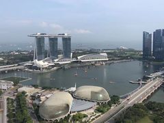 -新加坡瑞士史丹福酒店