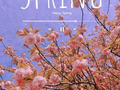 -花开海上生态园