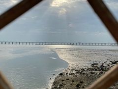 -宝安西湾红树林湿地公园