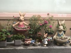 -后海16号·北京私房菜