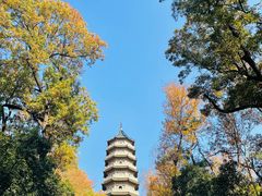 -灵谷景区