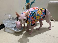 -藏猫猫咖啡主题馆(中央大道店)