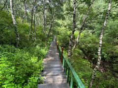 -苏木山森林公园