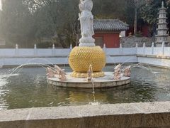 -泰山风景名胜区-普照寺