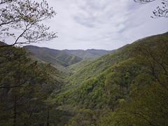 -五女峰国家森林公园