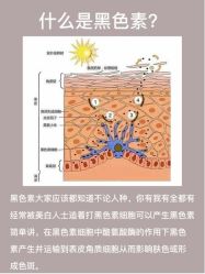 -天其美科学美肤·生发健康管理