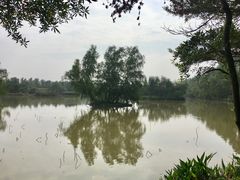 -大湾区中央湿地公园