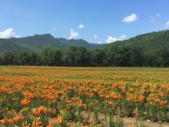 -广州市流溪河国家森林公园