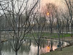 -东郊湿地公园