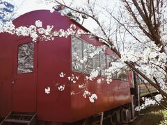 -新天地活力PARK