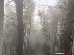-仙霞关景区